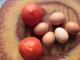Омлет с помидорами: рецепты Как выбрать ингредиенты